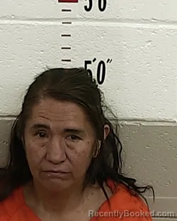 Mugshot of MARY JANE LUJAN booked in San Miguel County, New Mexico on August 2, 2026