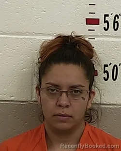 Mugshot of ALEXIS SALAZAR booked in San Miguel County, New Mexico on August 2, 2026