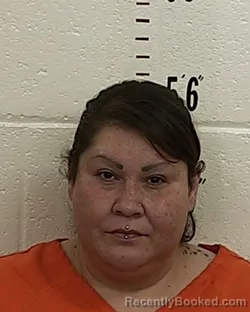 Mugshot of ANDREA LOPEZ booked in San Miguel County, New Mexico on August 3, 2026