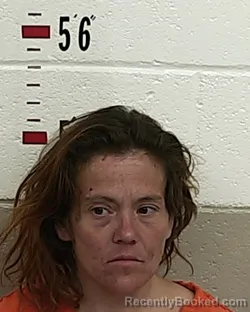 Mugshot of MONICA C PATRON booked in San Miguel County, New Mexico on August 3, 2026