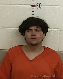Mugshot of Melijah Pacheco booked in San Miguel County, New Mexico on August 19, 2026