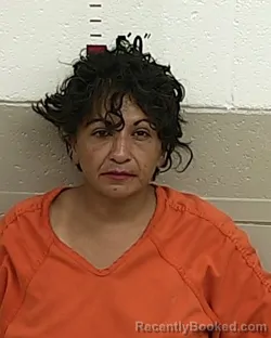 Mugshot of Sonia Ulibarri booked in San Miguel County, New Mexico on August 21, 2026