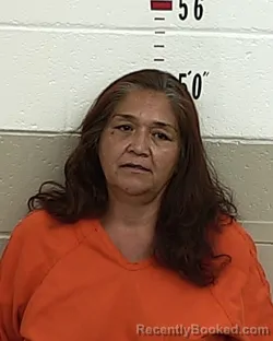 Mugshot of Angela Sanchez booked in San Miguel County, New Mexico on August 24, 2026