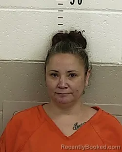 Mugshot of Trudy P Lucero booked in San Miguel County, New Mexico on August 27, 2026
