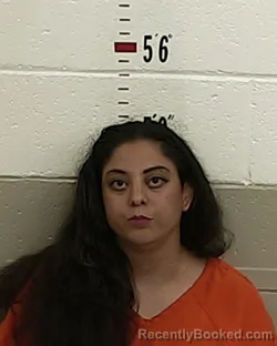 Mugshot of Alizandra Reed-Lopez booked in San Miguel County, New Mexico on August 30, 2026