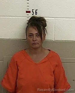 Mugshot of Joanie Etherton-Espinoza booked in San Miguel County, New Mexico on September 2, 2026