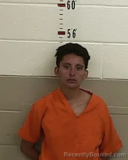 Mugshot of Davin Andrea Martinez booked in San Miguel County, New Mexico on September 2, 2026