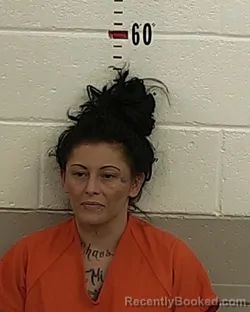 Mugshot of Paula Chavez booked in San Miguel County, New Mexico on September 3, 2026