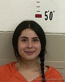 Mugshot of Teresa Jazmine Rivera-Flores booked in San Miguel County, New Mexico on September 7, 2026