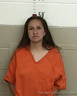 Mugshot of Arlene Gonzales booked in San Miguel County, New Mexico on September 8, 2026