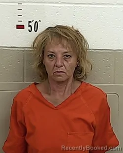 Mugshot of Eileen Ortiz booked in San Miguel County, New Mexico on September 10, 2026