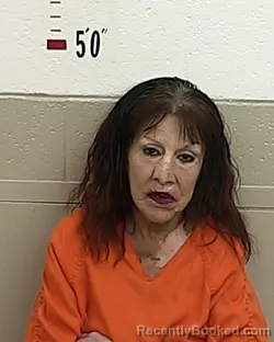 Mugshot of Lanette M Romero booked in San Miguel County, New Mexico on September 29, 2026