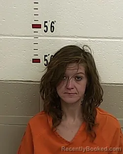 Mugshot of Ashley Libby booked in San Miguel County, New Mexico on October 4, 2026