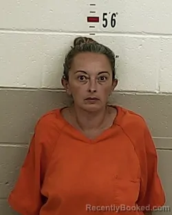 Mugshot of Maryann Romero booked in San Miguel County, New Mexico on October 23, 2026
