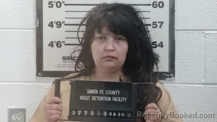 Mugshot of TRACEY A ROMERO booked in Santa Fe County, New Mexico on May 20, 2026