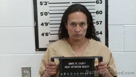 Mugshot of CAROLINA FRANCESCA PALOMINO booked in Santa Fe County, New Mexico on July 2, 2026