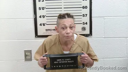 Mugshot of ERNESTINE CESARIA GARCIA booked in Santa Fe County, New Mexico on July 3, 2026