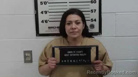 Mugshot of FAWN L EAGLEDAY booked in Santa Fe County, New Mexico on July 8, 2026