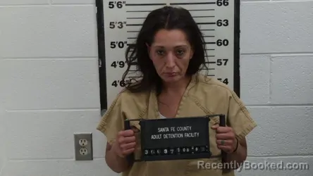 Mugshot of Ericalynn A Tapia booked in Santa Fe County, New Mexico on August 28, 2026