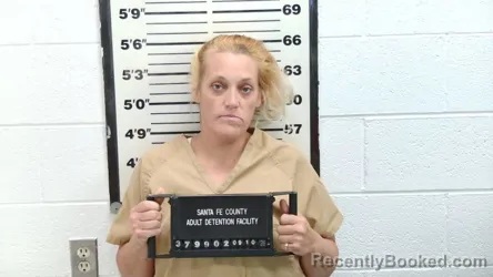 Mugshot of Lyndsay Ray Wilson booked in Santa Fe County, New Mexico on September 10, 2026