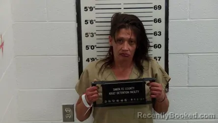 Mugshot of Desiree D Herrera booked in Santa Fe County, New Mexico on September 11, 2026