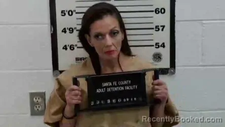 Mugshot of Patricia J Romero
