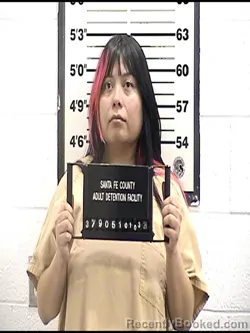 Booking photo from Santa Fe County, New Mexico