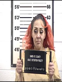 Booking photo from Santa Fe County, New Mexico