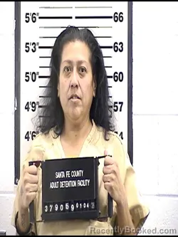 Mugshot of VERONICA SANCHEZ