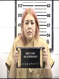 Mugshot of DESTINY BONILLA