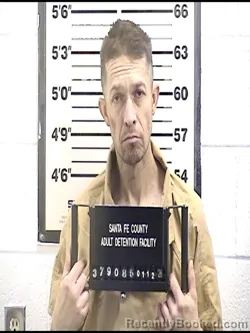 Mugshot of DAVID WILLS