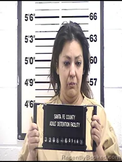 Booking photo from Santa Fe County, New Mexico
