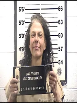 Booking photo from Santa Fe County, New Mexico