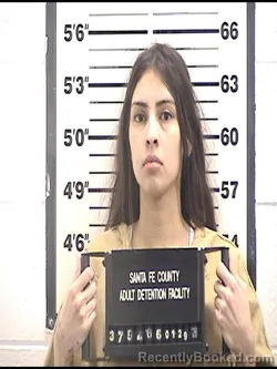 Booking photo from Santa Fe County, New Mexico