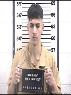 Mugshot of MOISES FLORES