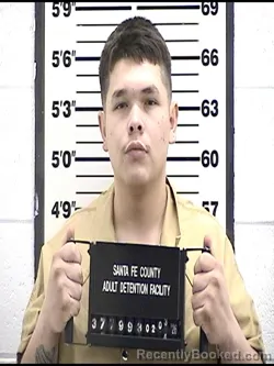 Mugshot of EMILIANO BOYLAN