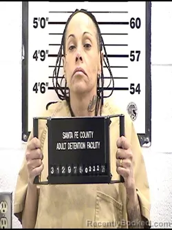 Mugshot of DENIKA CRISTINA ROMERO