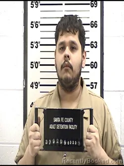 Mugshot of LUIS PEREZ-ESPINOZA