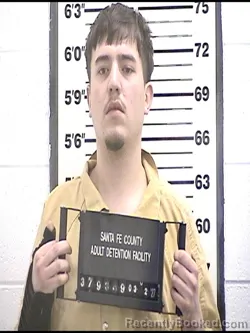 Mugshot of ALEX HERNANDEZ