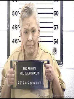 Mugshot of BILLY JEAN ROMERO booked in Santa Fe County, New Mexico on March 13, 2026