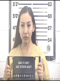 Mugshot of FRANCINE AMELIA GALLEGOS booked in Santa Fe County, New Mexico on March 18, 2026
