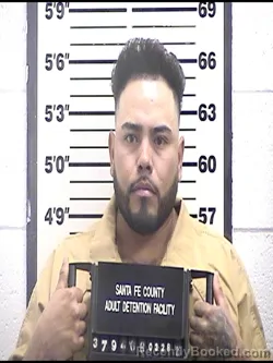 Mugshot of Brian Lamberto Ruiz- Ayala