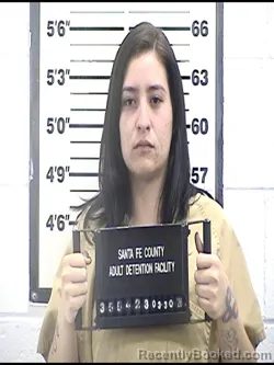 Mugshot of BRYNN CIENNA TORRES booked in Santa Fe County, New Mexico on March 30, 2026