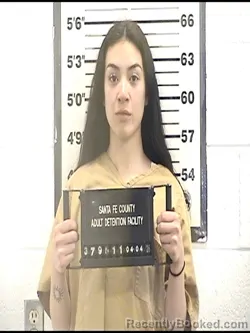 Mugshot of EMBER HA booked in Santa Fe County, New Mexico on April 4, 2026