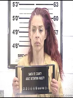 Mugshot of DEANNA M HOLT booked in Santa Fe County, New Mexico on May 6, 2026