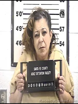 Mugshot of ELSIE ADELE FERNANDEZ booked in Santa Fe County, New Mexico on May 10, 2026