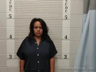 Mugshot of Adrianna Castillo booked in Socorro County, New Mexico on August 27, 2026