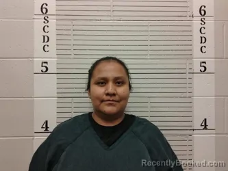 Mugshot of Brooknea Lewis booked in Socorro County, New Mexico on July 17, 2026