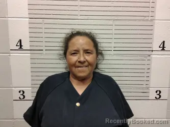 Mugshot of Diana Castro booked in Socorro County, New Mexico on May 13, 2026