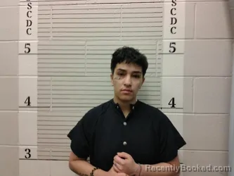 Mugshot of Dominique Gallegos